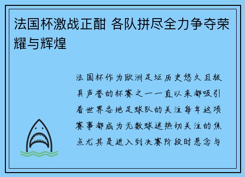 法国杯激战正酣 各队拼尽全力争夺荣耀与辉煌
